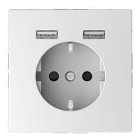 Schneider Electric Merten D-Life Белый Лотос Розетка Schuko с 2 USB c зарядным устройством 2,4 A MTN2366-6035 фото