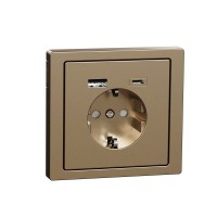 Schneider Electric MERTEN D-Life Шампань Розетка силовая 16 A с зарядкой USB A+C 3 A MTN2367-6051 фото