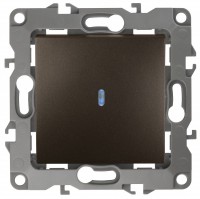 ЭРА 12-1102-13 выключатель с подсветкой, 10АХ-250В, IP20, 12, брона Б0019281 фото