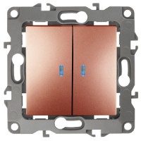 ЭРА 12-1105-14 выключатель двойной с подсветкой, 10АХ-250В, IP20, 12, медь Б0019293 фото
