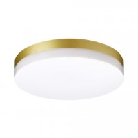 Novotech 358888 Street золото Светильник ландшафтный светодиодный потолочный монтаж 358888 фото