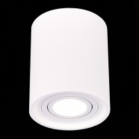 ST LUCE ST156.502.01 Светильник потолочный Белый GU10 1*50W IP20 D100xH120 180-240V Без ламп ST156.502.01 фото