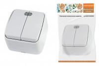 TDM Выключатель 2-кл. открытой установки с подсветкой IP20 10А, белый 