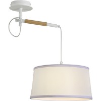 Eureka 3005-1P, настенно-потолочный светильник, D300xH600, 1xE27x60W 3005-1P фото