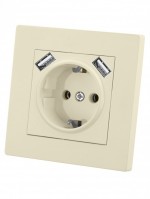 TDM Розетка 2П+З 16А 250В + 2 USB порта 2,1А 5В сл. кость 