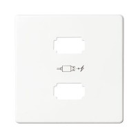 Simon 82 Detail Белый Накладка для зарядного устройства 2*USB 8221096-030 фото