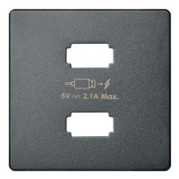Simon 82 Concept Матовый титан, Накладка для зарядного устройства 2xUSB 8221096-096 фото