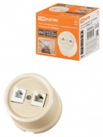 TDM Розетка телефонная RJ11 + компьютерная RJ45 сл. кость «Болонь» SQ1820-0352 фото