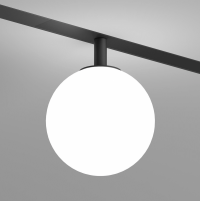 DK8050-BK Трековый светильник SMART MOON со светодиодом d100 5W 220V IP20 DIM 3000-6000K черный акрил DK8050-BK фото