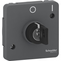Schneider Electric Mureva Styl Антрацит Переключатель с ключом на 2 положения,3А, IP55 MUR35062 фото