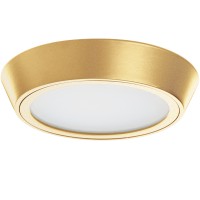 214932 Светильник URBANO LED 10W 1175LM ЗОЛОТО 3000K IP65 (в комплекте) 214932 фото