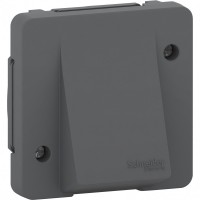 Schneider Electric Mureva Styl Антрацит Вывод кабеля, IP55 MUR37931 фото