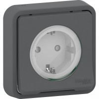 Schneider Electric Mureva Styl внутр Антрацит Розетка с/з и шторками, IP55 MUR36132 фото
