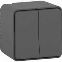 Schneider Electric Mureva Styl наруж Антрацит Переключатель 2-клавишный сх. 6+6, IP55 MUR35022 фото
