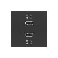 Simon 100 Черный матовый Накладка для 2-х зарядных устройств USB SmartCharge 10001196-238 фото