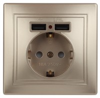 Intro Розетка Plano 1-410-04 с заземлением 2P+E Schuko со шторками, 16А-250В + 2хUSB 5В-2,1А, IP20, СУ, шампань Б0053945 фото