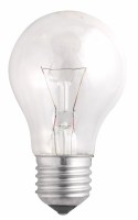 Jazzway Лампа накаливания A55 240V 95W E27 clear (Б 230-95-5) .2859310 фото