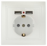 Intro Розетка Plano 1-410-06 с заземлением 2P+E Schuko со шторками, 16А-250В + 2хUSB 5В-2,1А, IP20, СУ, перламутр Б0053947 фото