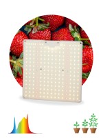 ЭРА Облучатель бактерицидный (рециркулятор) FITO-80W-LED-QB Quantum board Б0053285 фото