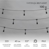 Гирлянда Belt-Light 2 жилы, 100м, шаг 40см, 225 подвесныx патронов Е27, IP65, черный круглый провод NEON-NIGHT 331-231 фото