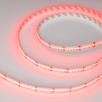 Лента CSP-X840-12mm 24V RGBW-Warm (17.2 W/m, IP20, 5m) (Arlight, 5 лет) 046937 фото