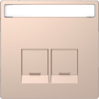 Schneider Electric Merten D-Life Шампань Накладка центральная для 2-х модульных разъемов MTN4574-6051 фото