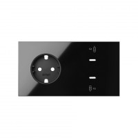 Simon 100 Черный глянец Кит 2 поста, фронт. Накладка на 1 роз.Schuko + 2 з/у USB C 10020258-138 фото