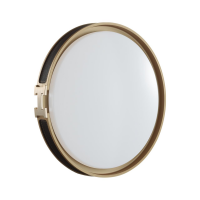 7667/DL COLOR SN 78 Светильник пластик/белый/черный/золотой LED 48Вт 4000К D405 IP43 FAVEMO BLACK 7667/DL фото
