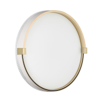 Sonex 7646/CL PALE SN Светильник пластик/белый/золотой LED 30Вт 4000К D340 IP43 OLIDI WHITE 7646/CL фото