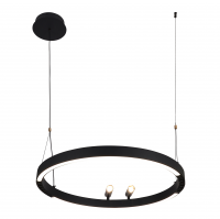 F-Promo 4474-1P, подвесная люстра, D600xH1000/1800, LEDx58W + 2xLEDx3W, 3000-6500K, included, remote control 4474-1P фото