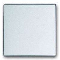 ABB BJE Solo/Future Алюминий Клавиша 1-ая 2CKA001751A3075 фото