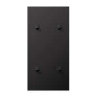 JUNG LS1912 Dark Центральная плата, 2 поста, для вертикальной установки, тумблеры 2+2,цилиндр; метал. исполнение AL12-25DR01 фото