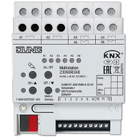 JUNG KNX-мультистанция 23066REGHE фото