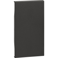 BT Living now Черный Лицевая панель для заглушек 2 мод KG00M2 фото