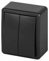 Выключатель ЭРА Эксперт 11-1204-05 двойной IP20 10АХ-250В ОУ антрацит Б0063026 фото