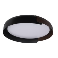 LOFT IT 10198 Black Потолочные светильники Coin, шт 10198 Black фото