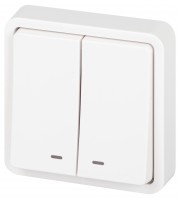 Выключатель ЭРА Эксперт 11-1525-01 двойной с подсветкой IP55, 10АХ-250В, СУ, белый Б0063304 фото