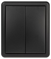Выключатель ЭРА Эксперт 11-1205-05 двойной с подсветкой IP20 10АХ-250В ОУ антрацит Б0063021 фото