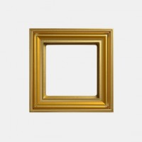 JUNG EcoProfi DECO Золото Рамка 1-ая EPD481GO фото