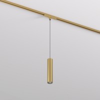 DK5744-SB Светильник для трека SHINE SPOT со светодиодом, D40*H200
кабель 1500мм, 48V DC, 8W, RA≥90, 3000K, IP20, сатинированная латунь, алюми DK5744-SB фото