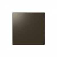 Jasmart FD Бронза Выключатель 1-кл кнопочный (звонковый) 10A 250V~ FD3010BR фото