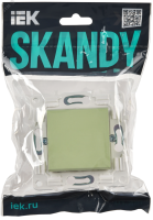 SKANDY Выключатель 1-клавишный проходной 10А SK-V02G мятный IEK SK-V12-0-10-K06 IEK pe796929 фото