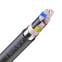 Кабель TOKOV ELECTRIC АВБШвнг(А) 5х70 МС (N PE) 1кВ (м) УТ000030784 TOKOV ELECTRIC pe1067521 фото