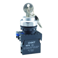 Переключатель с ключом NP8-10Y/21 2 полож. с фиксацией 1НО IP65 578130 CHINT pe690690 фото
