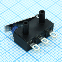 D2HW-BL211H Микропереключатель с лапкой ON-(ON) 0,1A 125VAC OMRON pe480004 фото