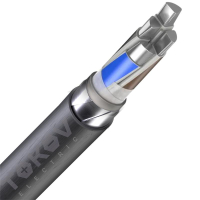 Кабель TOKOV ELECTRIC АВБШвнг(А) 4х185 ОС (N) 1кВ (м) УТ000030814 TOKOV ELECTRIC pe1067527 фото