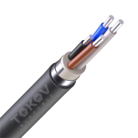 Кабель TOKOV ELECTRIC АВБШв 4х6 ОК (N) 0.66кВ (м) 00-00036295 TOKOV ELECTRIC pe1067533 фото
