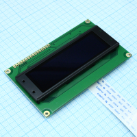 WEG010032BGPP5N00100 OLED 2,44