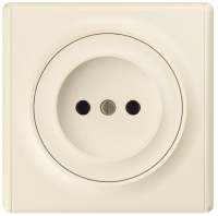 Розетка 1-м СП Florence 16А IP20 без заземл. винтов. клеммы механизм беж. (1E10301301) 2172789 OneKeyElectro pe587041 фото