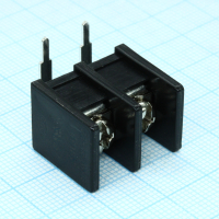 DG55R-B-02P-13-00A(H) Барьерный клеммный блок 2 контакта. Серия DG55R-B Degson pe60451 фото